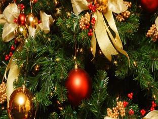 成田 ホテル ブランチャペル クリスマス【大人専用】