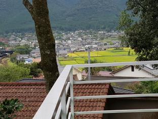 由布院の竹
