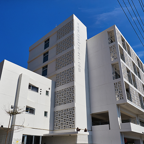 Arce Ryukyu Harbor Stay