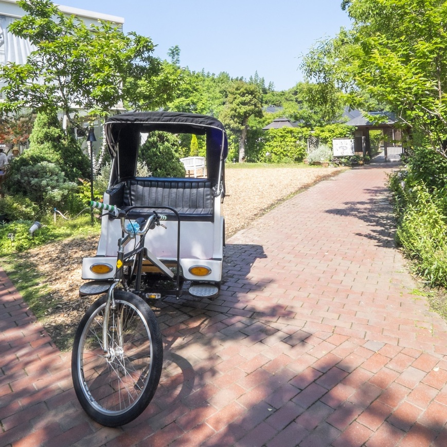 Budonoki Morino Nanakusa