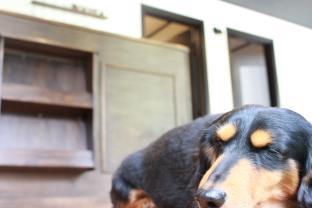 南国ロッジ Booya