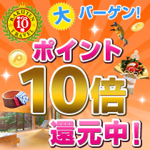 Business Hotel Ota Inn