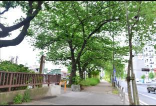 ゲストハウス トレース 東日本橋 リバー サイド