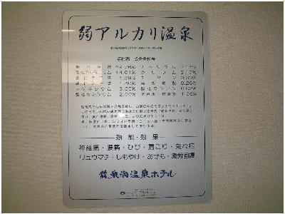 Ryusendo Onsen Hotel