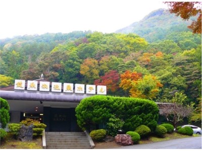 Ryusendo Onsen Hotel