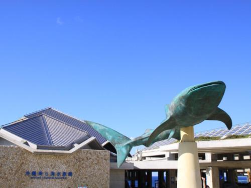 海人の宿