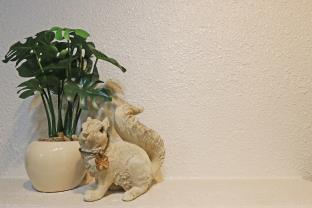 プチ グランデ ニュアージュ