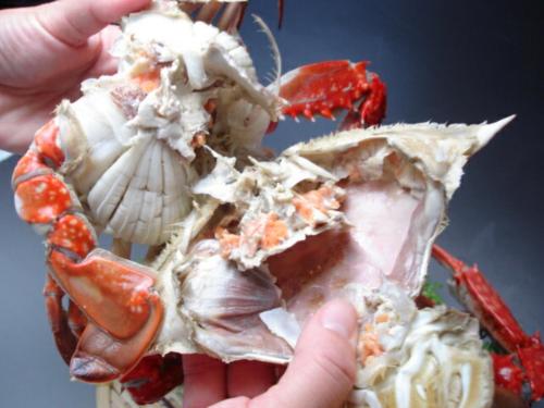 オーベルジュ美の浜 流石