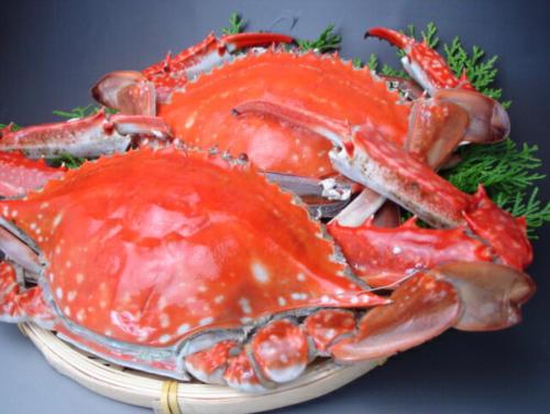 オーベルジュ美の浜 流石