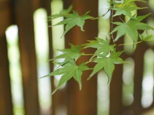 ねぎや陵楓閣