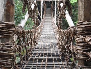 峡谷の湯宿 大歩危峡まんなか