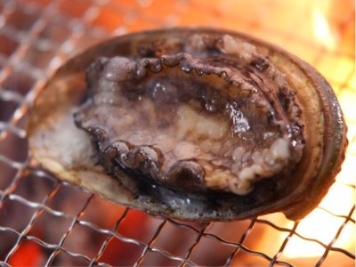 Kaifutei Teradomari Nihonkai