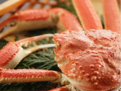 Kaifutei Teradomari Nihonkai