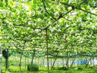 チサンイン甲府石和