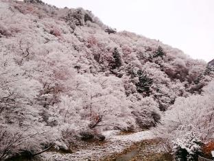 川古温泉 浜屋旅館