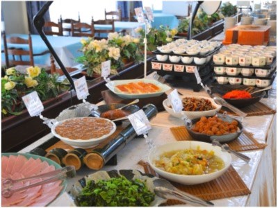 Tateyama Resort Hotel