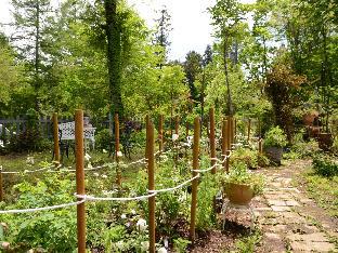 ペンション オーバーグルグル