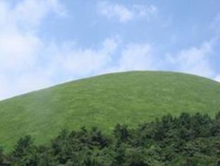 伊豆高原温泉 お宿うち山