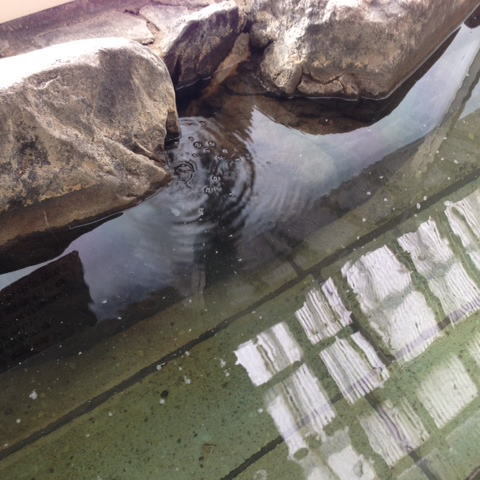 Rokuroshi kougen Onsen Picnic Garden