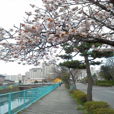 ホテルかもめ館