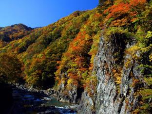 越後田中温泉 しなの荘 