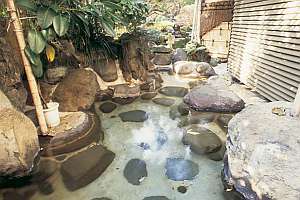 Ito Onsen Suihoen