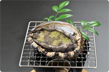 Kyoraian Matsushirokan