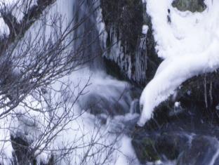 ホテル阿寒湖荘