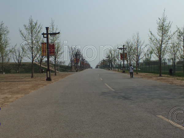 大明宮(2011年4月撮影) 11