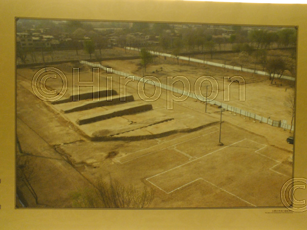 大明宮(2011年4月撮影) 61