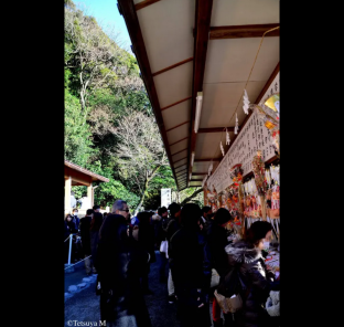［江ノ島］アパートメント（27m²）｜ 2ベッドルーム／1バスルーム