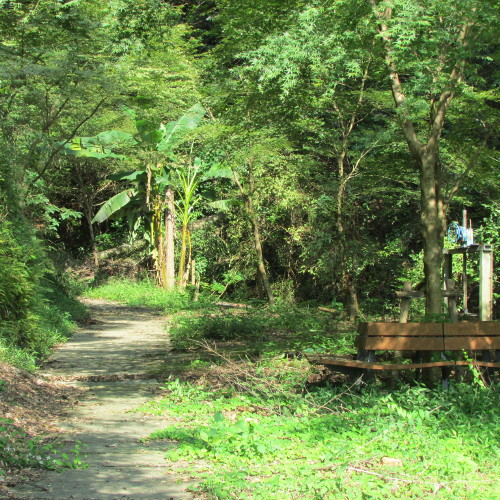 Yamae Onsen Hotaru