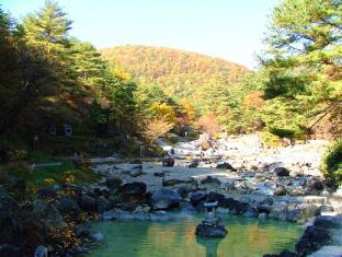 草津温泉 湯籠りの里 緑風亭