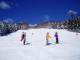 Pension Snow Goose