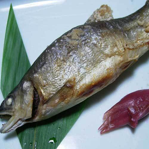 Hanesawa Onsen Koyokan (Yamagata)