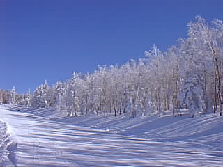 Kitashiga Kogen Hotel