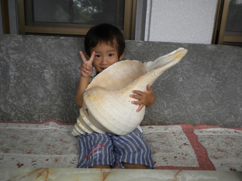 Minshuku Ofuku
