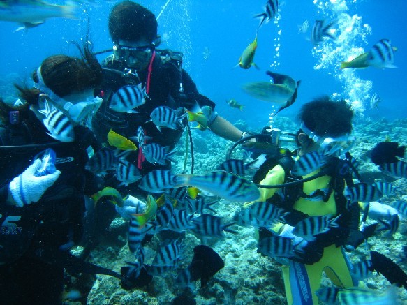 Lagoon Palace
