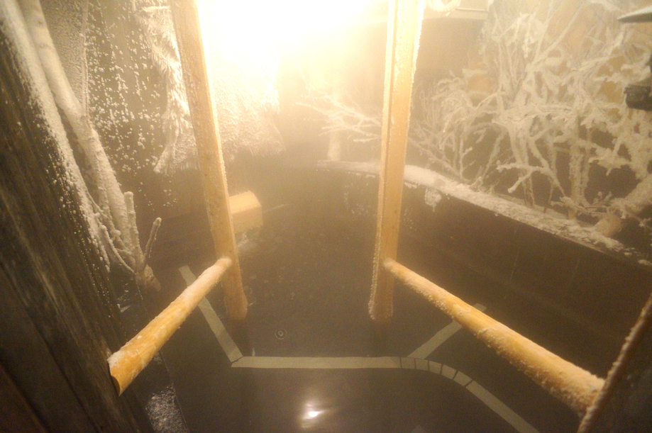 Sauna & Capsule Hotel Wellbe Sakae