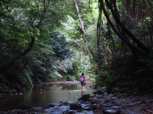 シアターリゾート