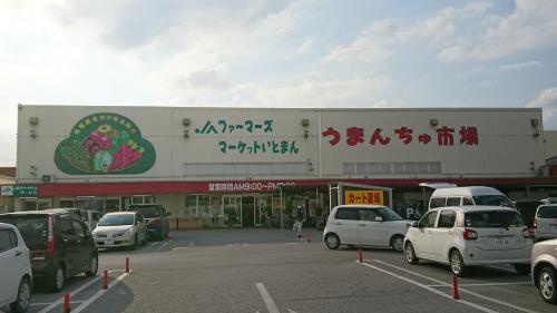 民宿 ＯＢ（guest house OB）