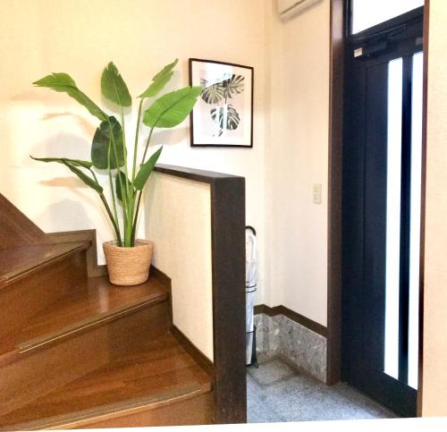 天下茶屋ハウス