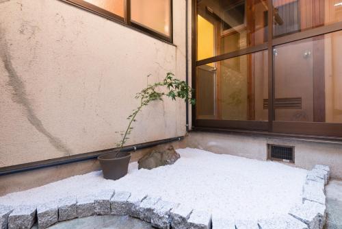 京小宿 木漏れ日