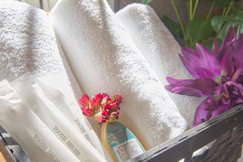 ホステル優 ラグジュアリー ミクスト ドミトリー