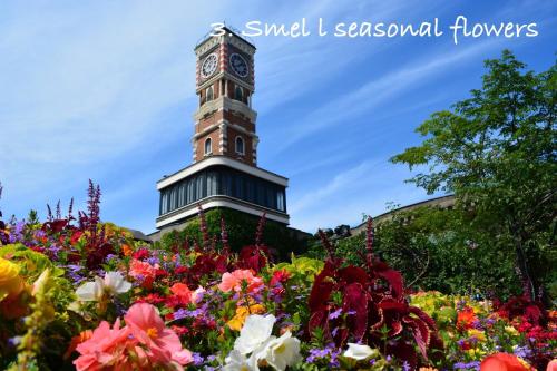 Serenar 8th floor / Vacation STAY 1260