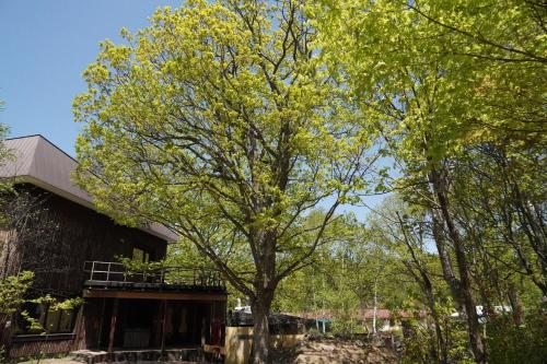 ARtINn 極寒藝術伝染装置