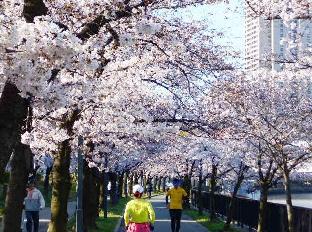 ［大阪城&京橋］一軒家（144m²）｜ 4ベッドルーム／3バスルーム