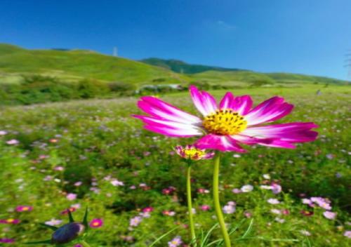 Tsuruya / Vacation STAY 59071