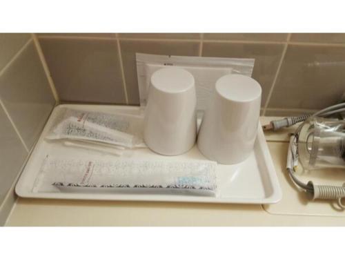 Hotel Ascent Hamamatsu / Vacation STAY 79769