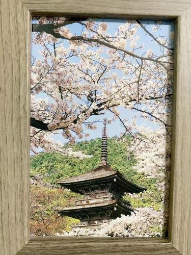 Ueno-Akihabara Apartment/上野 御徒町 秋叶原 近距离 高岛屋 百货 海鲜 优尼库近在咫尺403